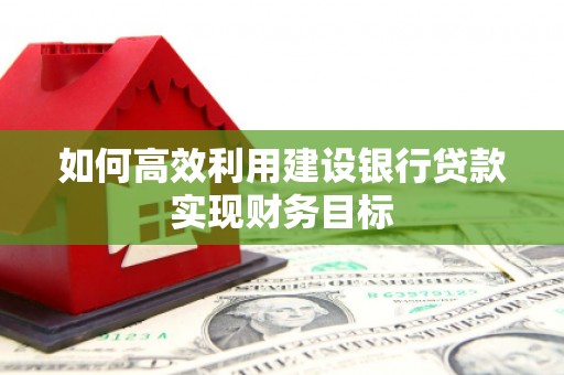 埔心如何高效利用建设银行贷款实现财务目标