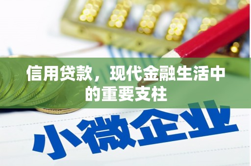 埔心信用贷款，现代金融生活中的重要支柱