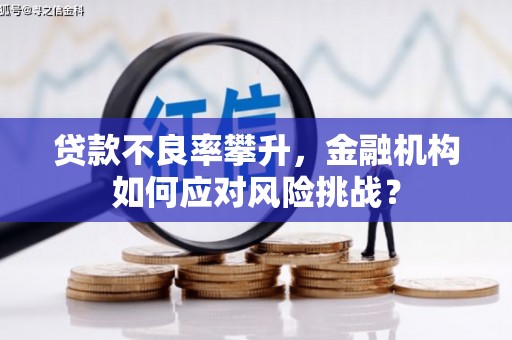 埔心贷款不良率攀升，金融机构如何应对风险挑战？