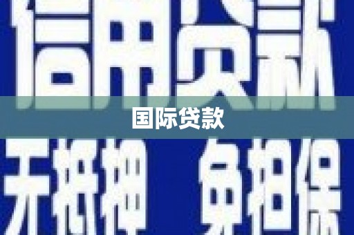 埔心国际贷款