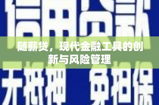 埔心随薪贷，现代金融工具的创新与风险管理