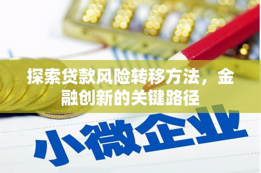 埔心探索贷款风险转移方法，金融创新的关键路径