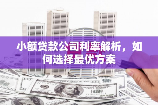 埔心小额贷款公司利率解析，如何选择最优方案