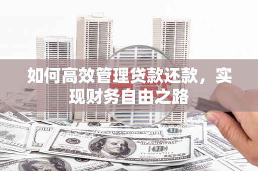 埔心如何高效管理贷款还款，实现财务自由之路