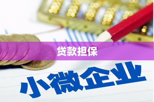 埔心贷款担保