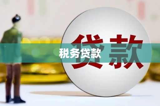 埔心税务贷款