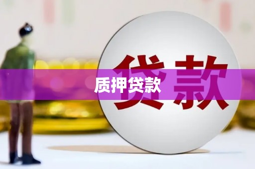 埔心质押贷款