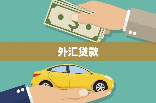 埔心外汇贷款