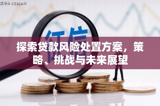 埔心探索贷款风险处置方案，策略、挑战与未来展望