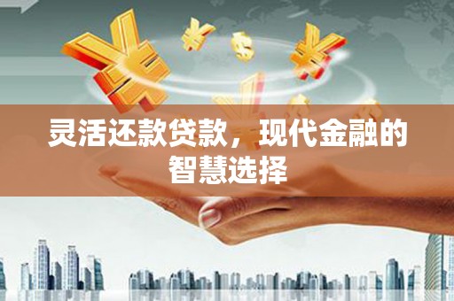 埔心灵活还款贷款，现代金融的智慧选择