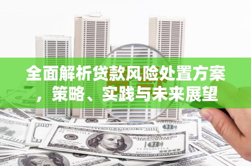 埔心全面解析贷款风险处置方案，策略、实践与未来展望