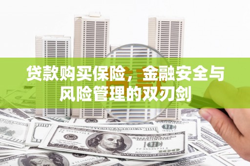 埔心贷款购买保险，金融安全与风险管理的双刃剑
