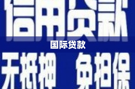 埔心国际贷款
