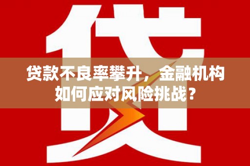 埔心贷款不良率攀升，金融机构如何应对风险挑战？