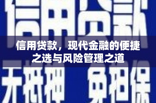 埔心信用贷款，现代金融的便捷之选与风险管理之道