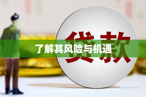 埔心了解其风险与机遇