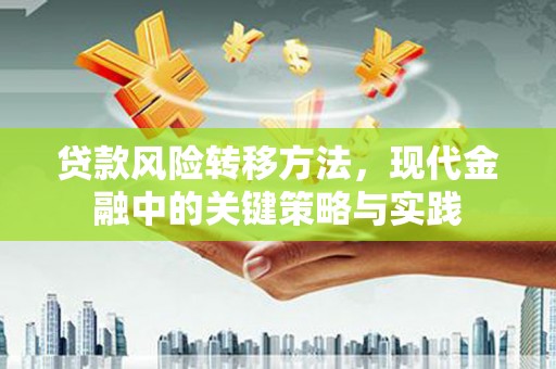 埔心贷款风险转移方法，现代金融中的关键策略与实践