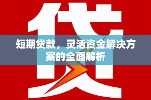 埔心短期贷款，灵活资金解决方案的全面解析