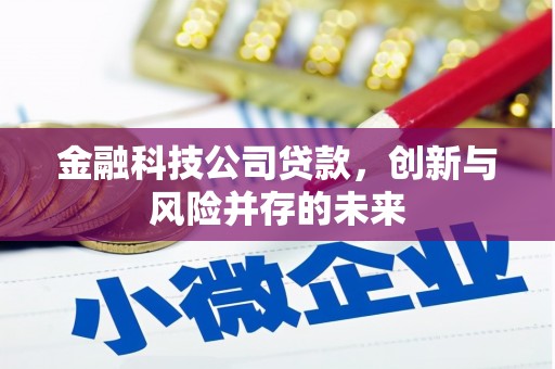 埔心金融科技公司贷款，创新与风险并存的未来