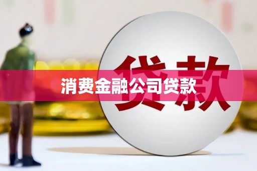 埔心消费金融公司贷款
