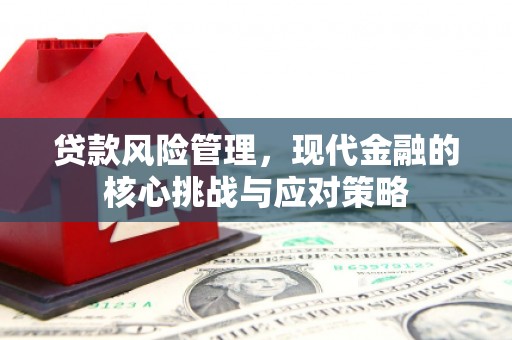 埔心贷款风险管理，现代金融的核心挑战与应对策略