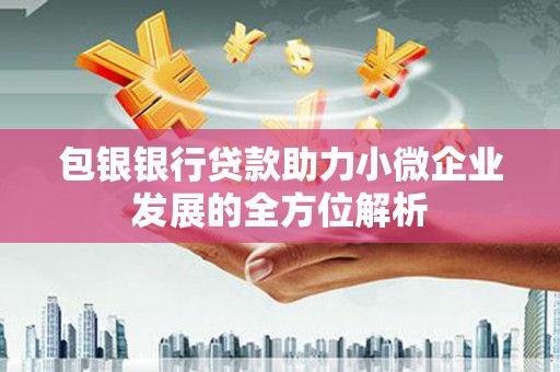 埔心包银银行贷款助力小微企业发展的全方位解析
