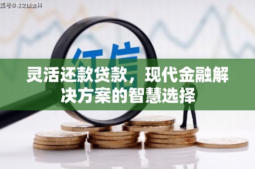 埔心灵活还款贷款，现代金融解决方案的智慧选择