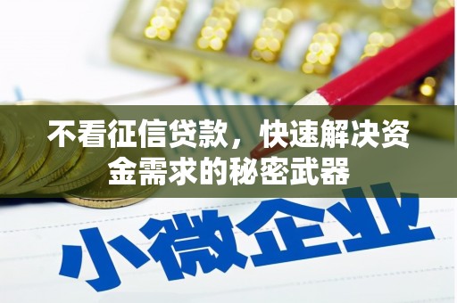 埔心不看征信贷款，快速解决资金需求的秘密武器