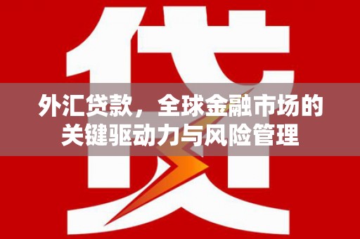 埔心外汇贷款，全球金融市场的关键驱动力与风险管理
