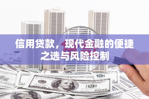 埔心信用贷款，现代金融的便捷之选与风险控制
