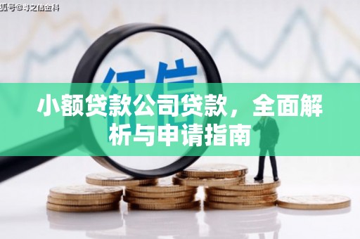 埔心小额贷款公司贷款，全面解析与申请指南