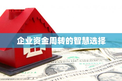 埔心企业资金周转的智慧选择