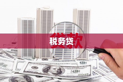 埔心税务贷