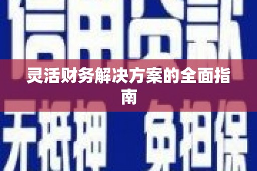 埔心灵活财务解决方案的全面指南
