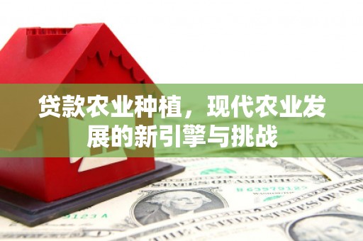 埔心贷款农业种植，现代农业发展的新引擎与挑战