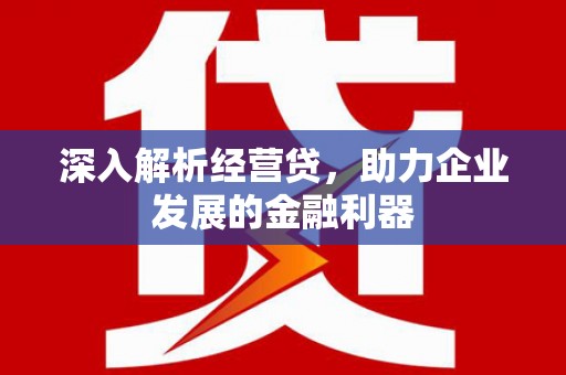 埔心深入解析经营贷，助力企业发展的金融利器