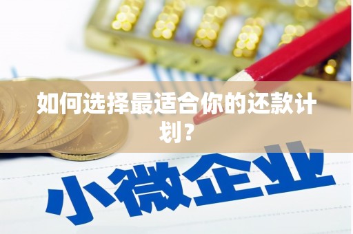 埔心如何选择最适合你的还款计划？