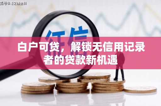 埔心白户可贷，解锁无信用记录者的贷款新机遇