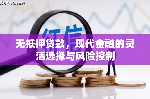 埔心无抵押贷款，现代金融的灵活选择与风险控制