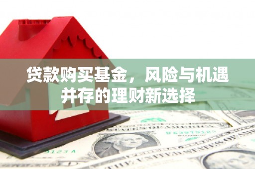 埔心贷款购买基金，风险与机遇并存的理财新选择