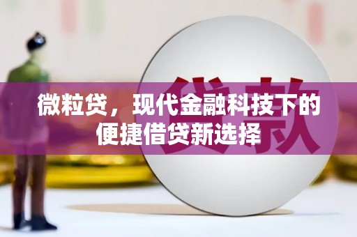 埔心微粒贷，现代金融科技下的便捷借贷新选择