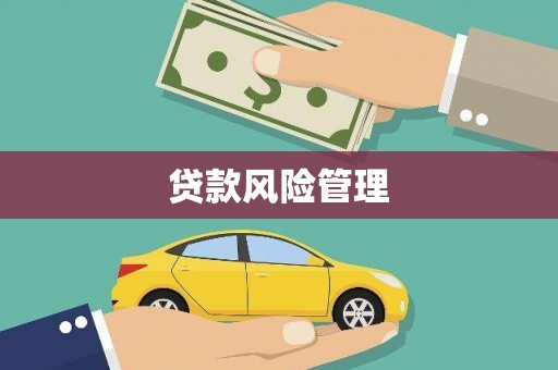 埔心贷款风险管理