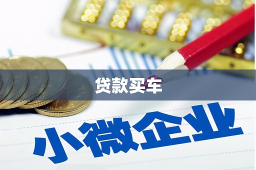 埔心贷款买车