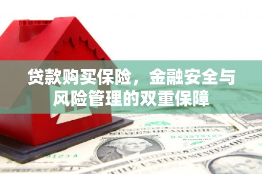 埔心贷款购买保险，金融安全与风险管理的双重保障