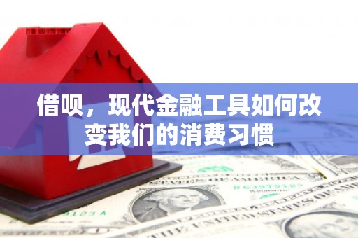 埔心借呗，现代金融工具如何改变我们的消费习惯