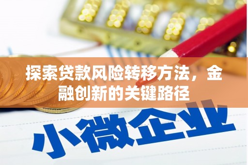 埔心探索贷款风险转移方法，金融创新的关键路径