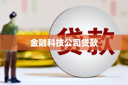 埔心金融科技公司贷款