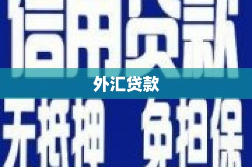 埔心外汇贷款