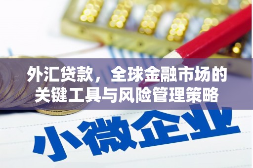 埔心外汇贷款，全球金融市场的关键工具与风险管理策略