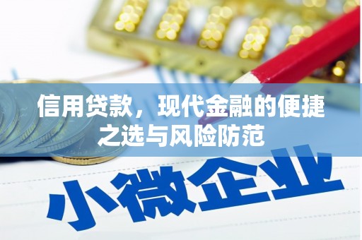 埔心信用贷款，现代金融的便捷之选与风险防范
